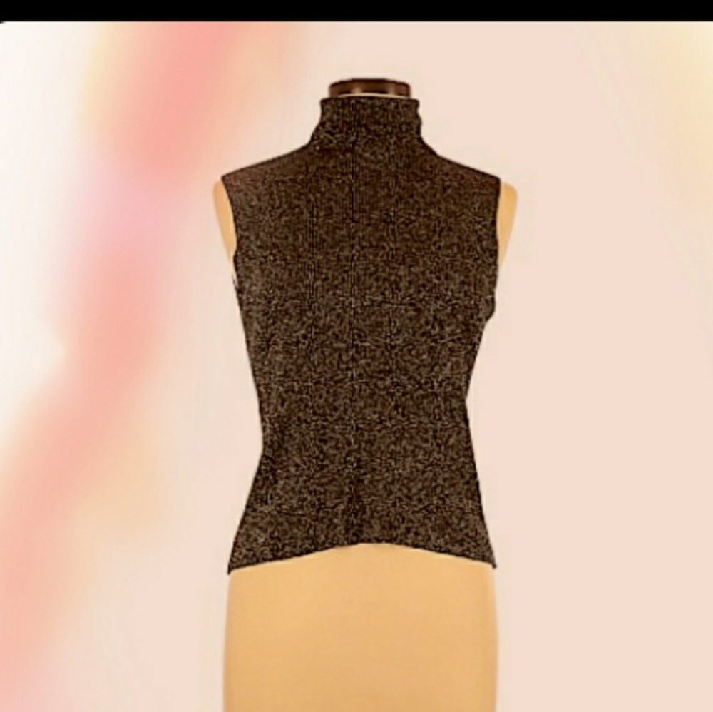 Petite Sophisticate Turtle Neck Sleeveless Sweater